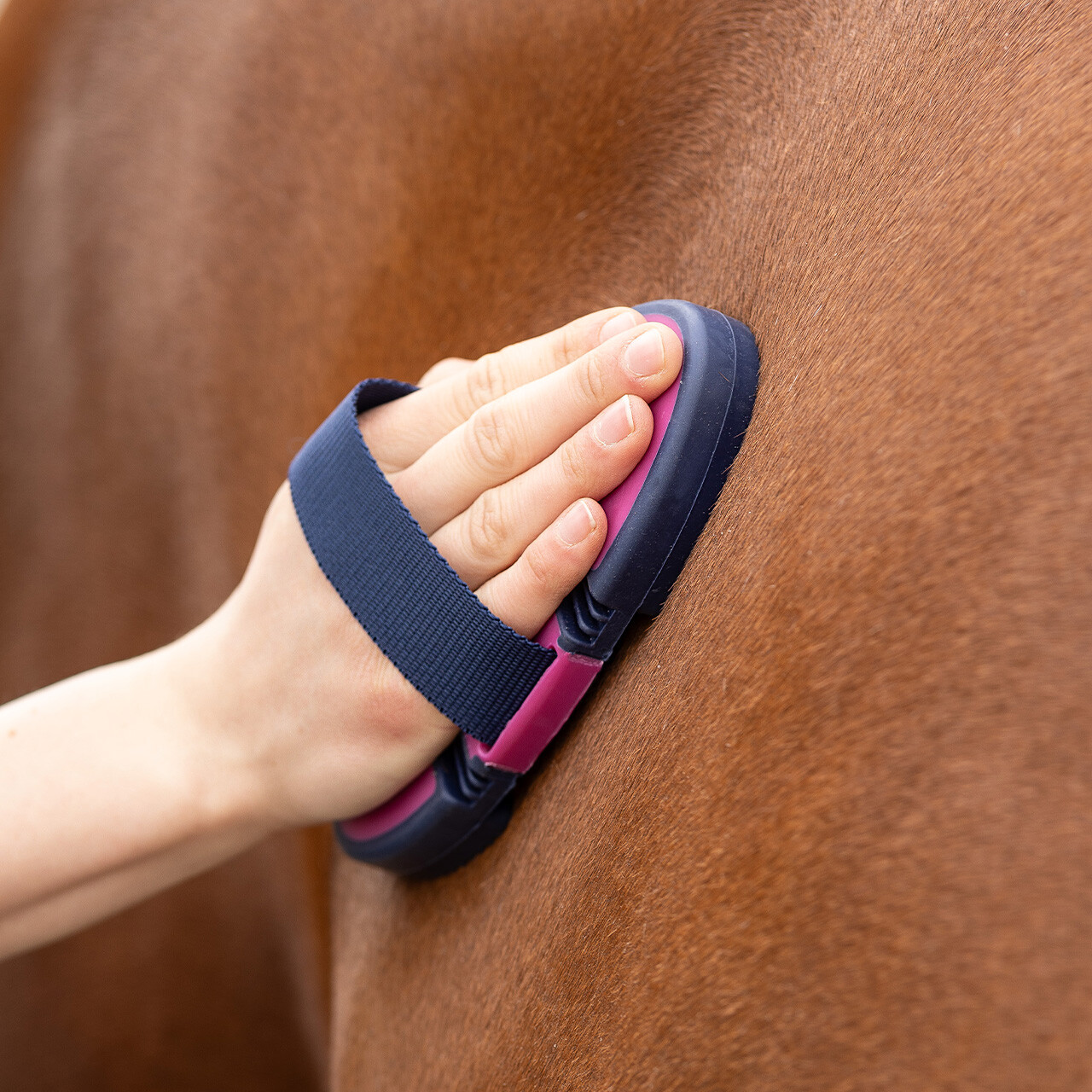 Pruty na hřebení Flexible Fuchsia/Navy