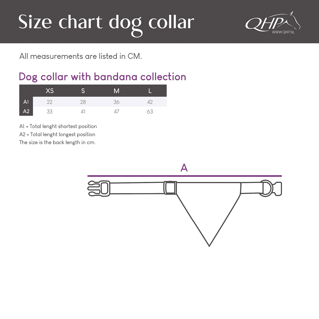 Dog collar with bandana collection