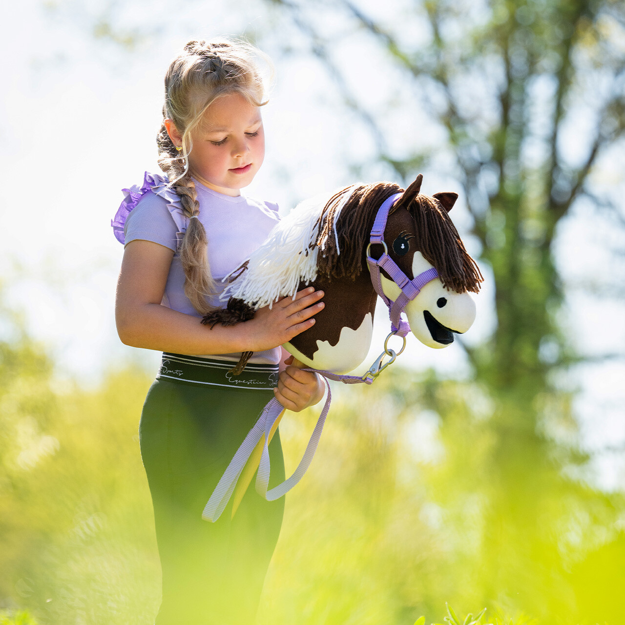 Hobby horse