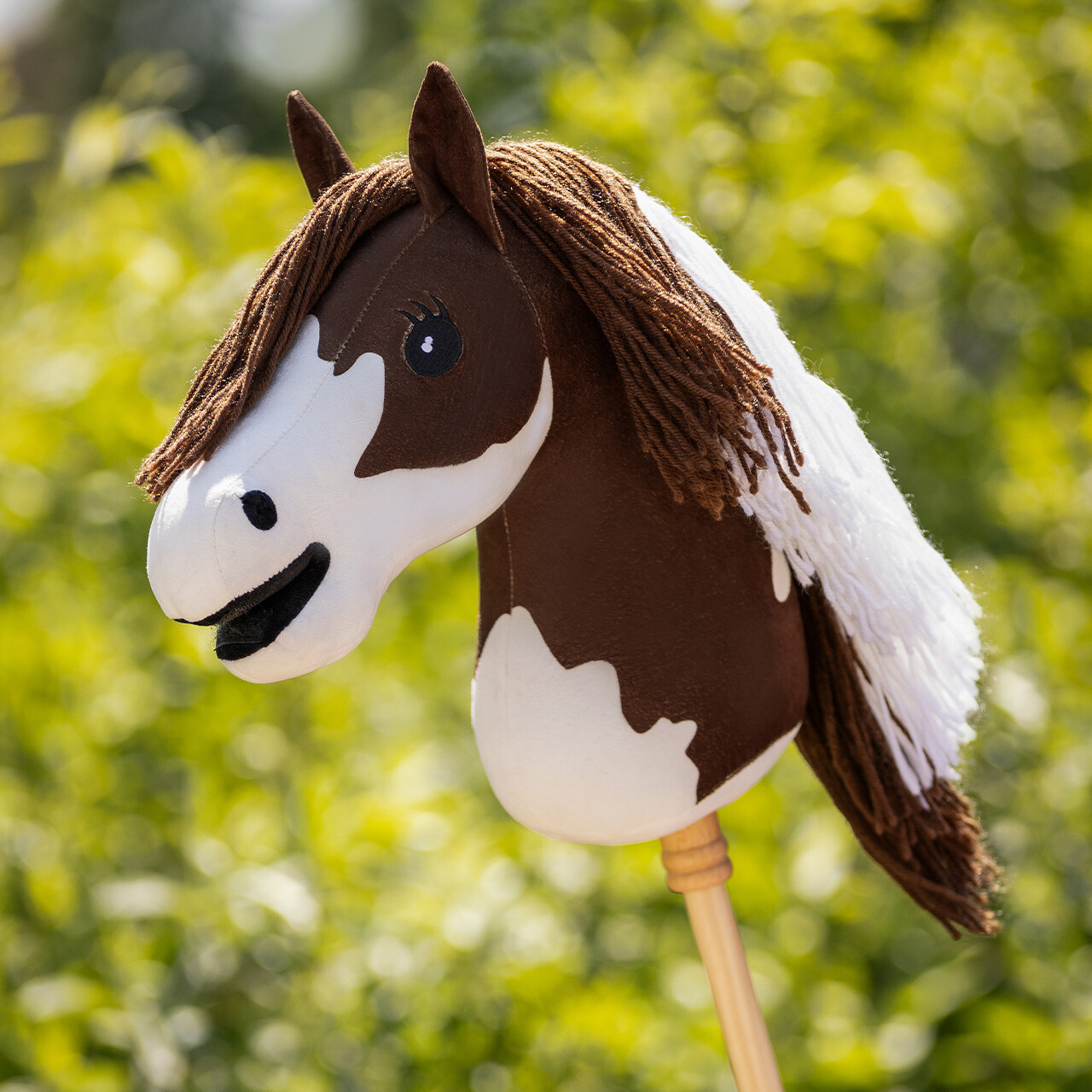 Hobby horse