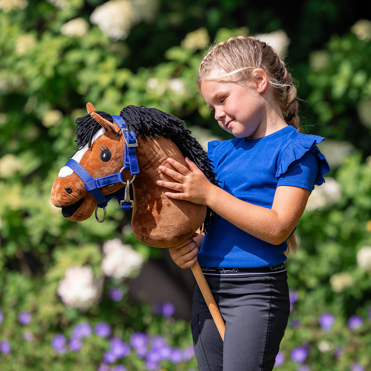 Hobby horse
