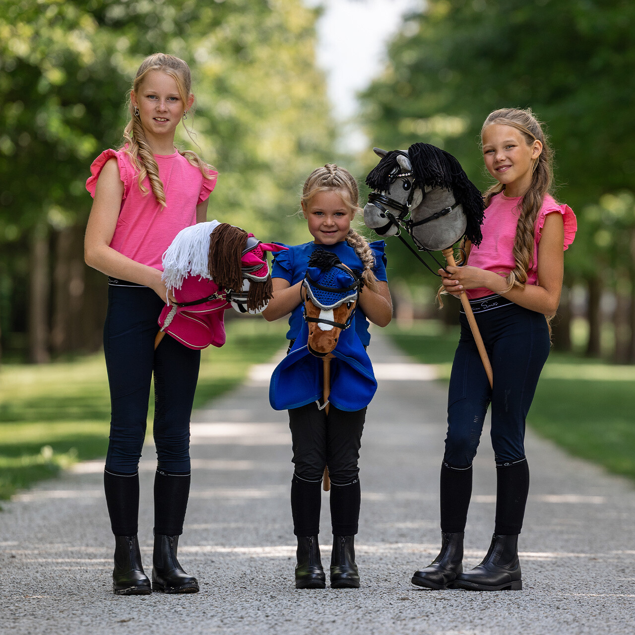Hobby horse