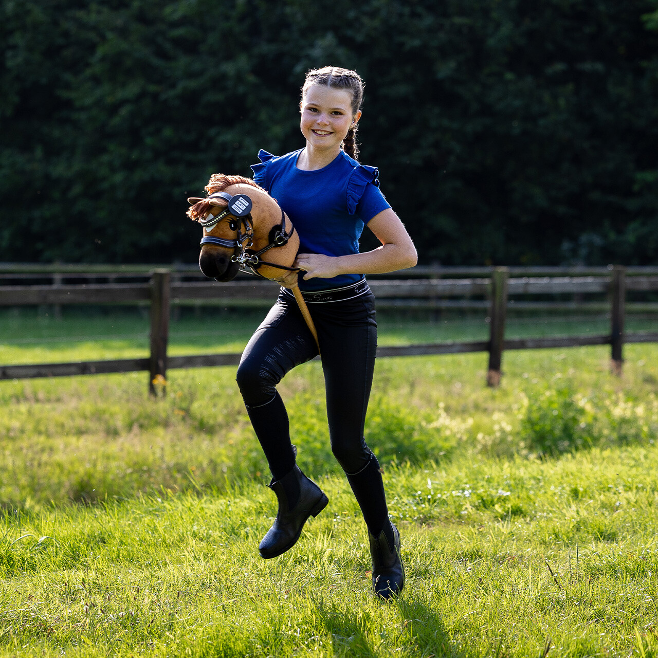 Hobby horse