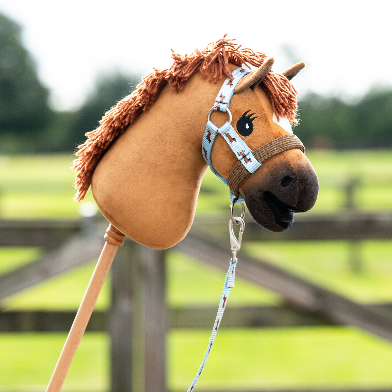 Hobby horse