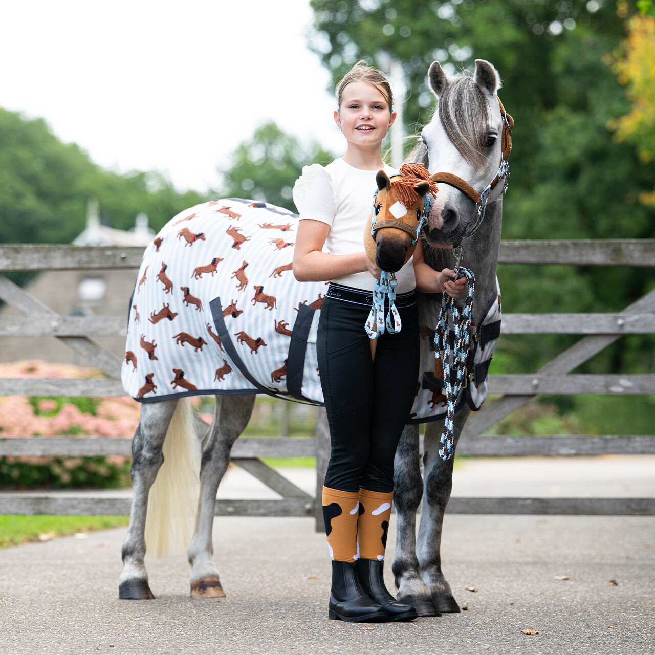 Hobby horse