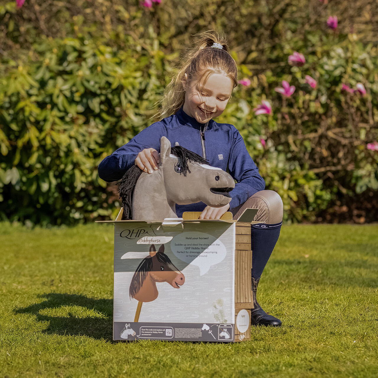 Hobby horse