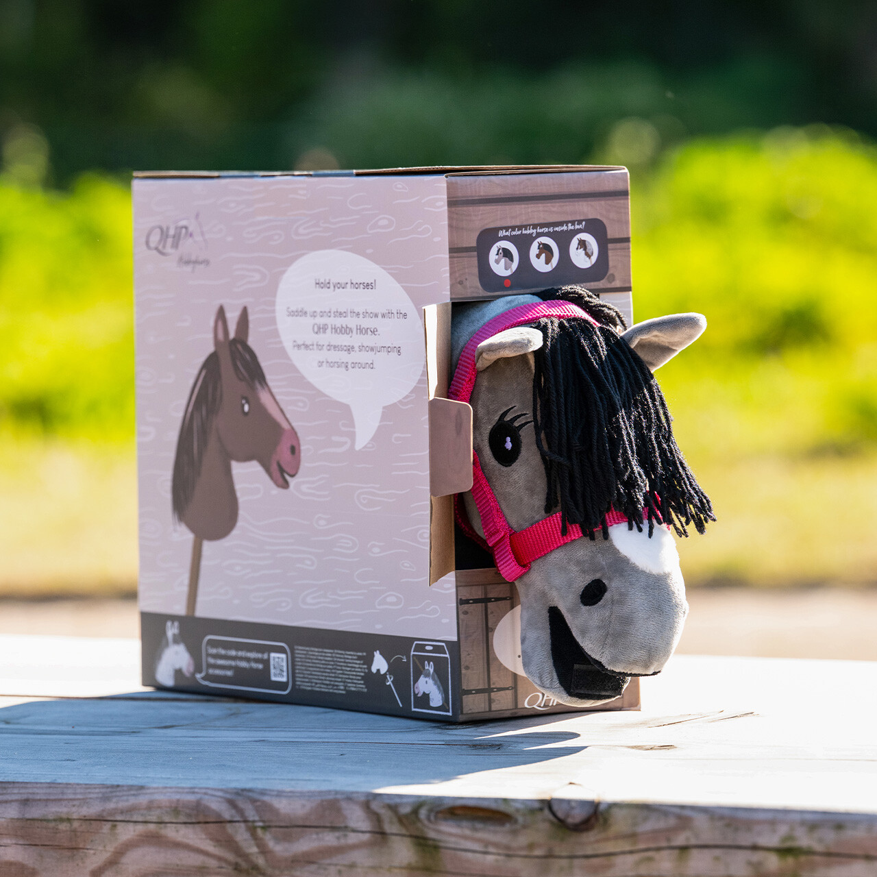 Hobby horse