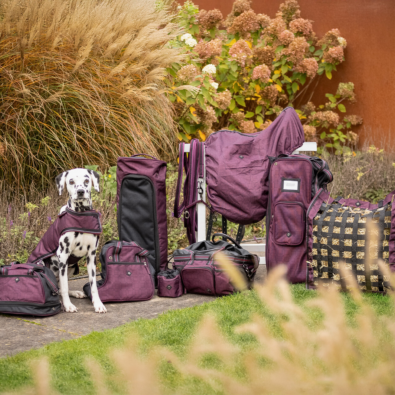 Treat bag collection