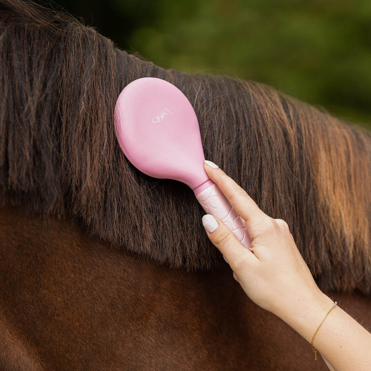 Mane and tail comb Lyvia