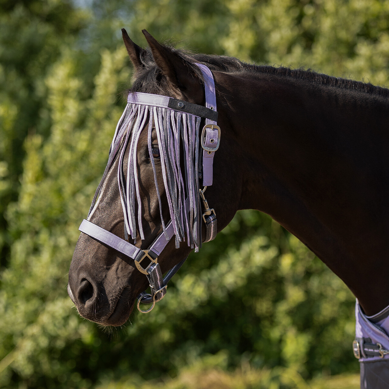 Anti-fly fringe collection