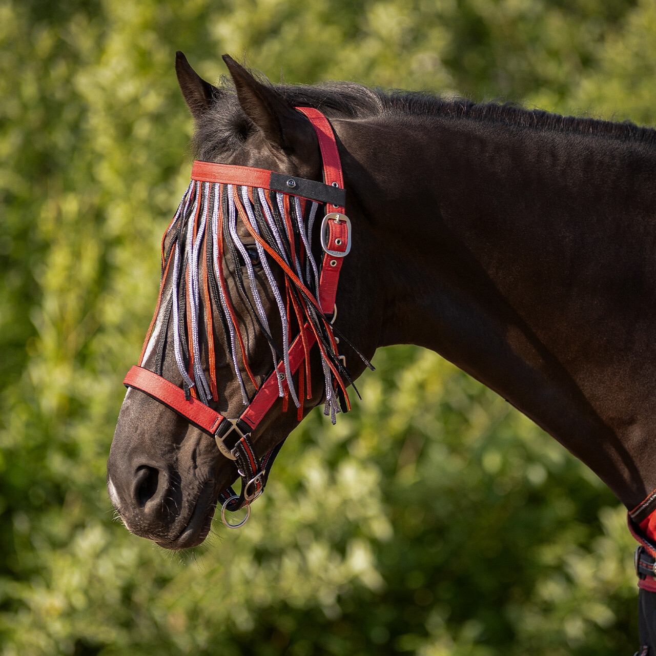 Anti-fly fringe collection