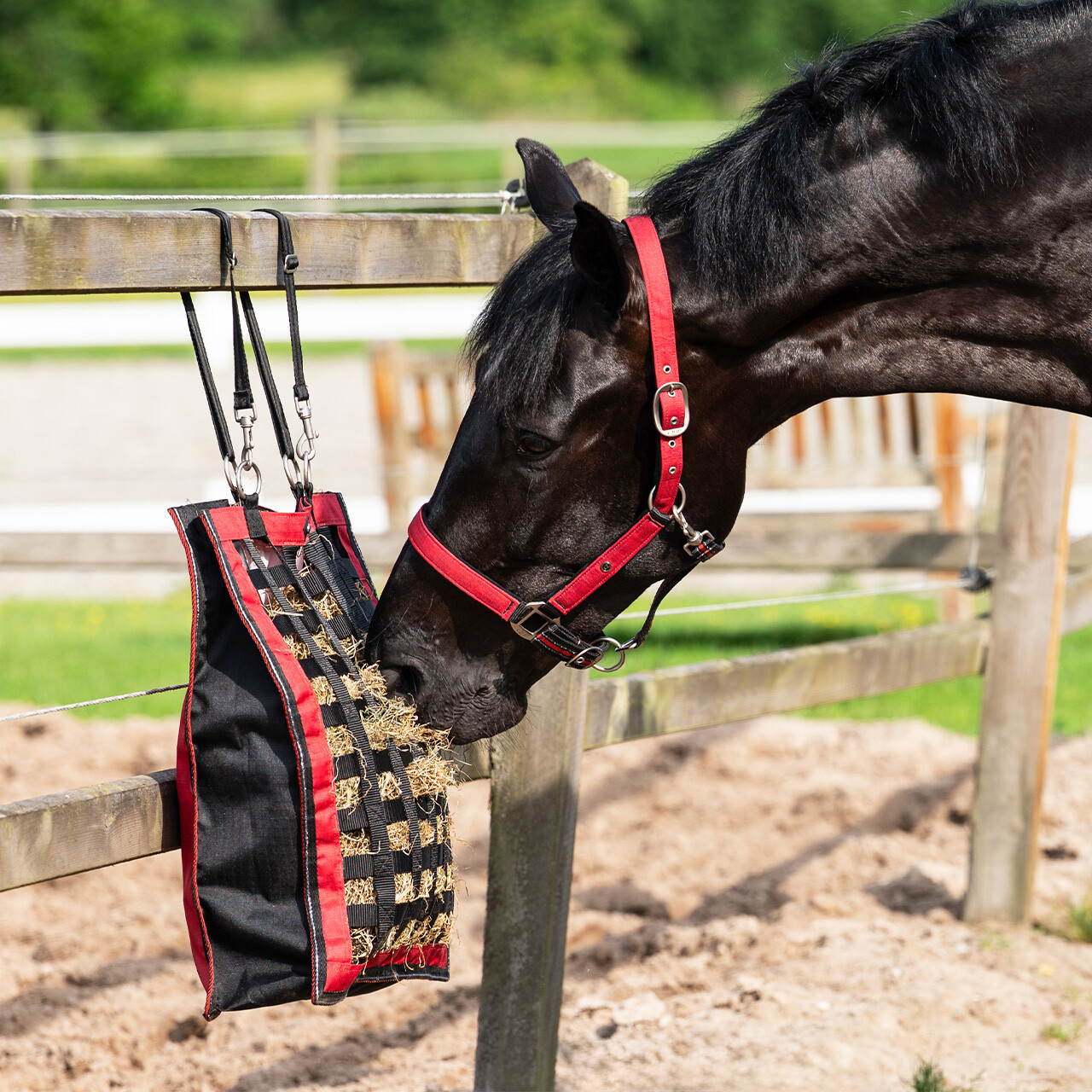 Slowfeeder turnout collection