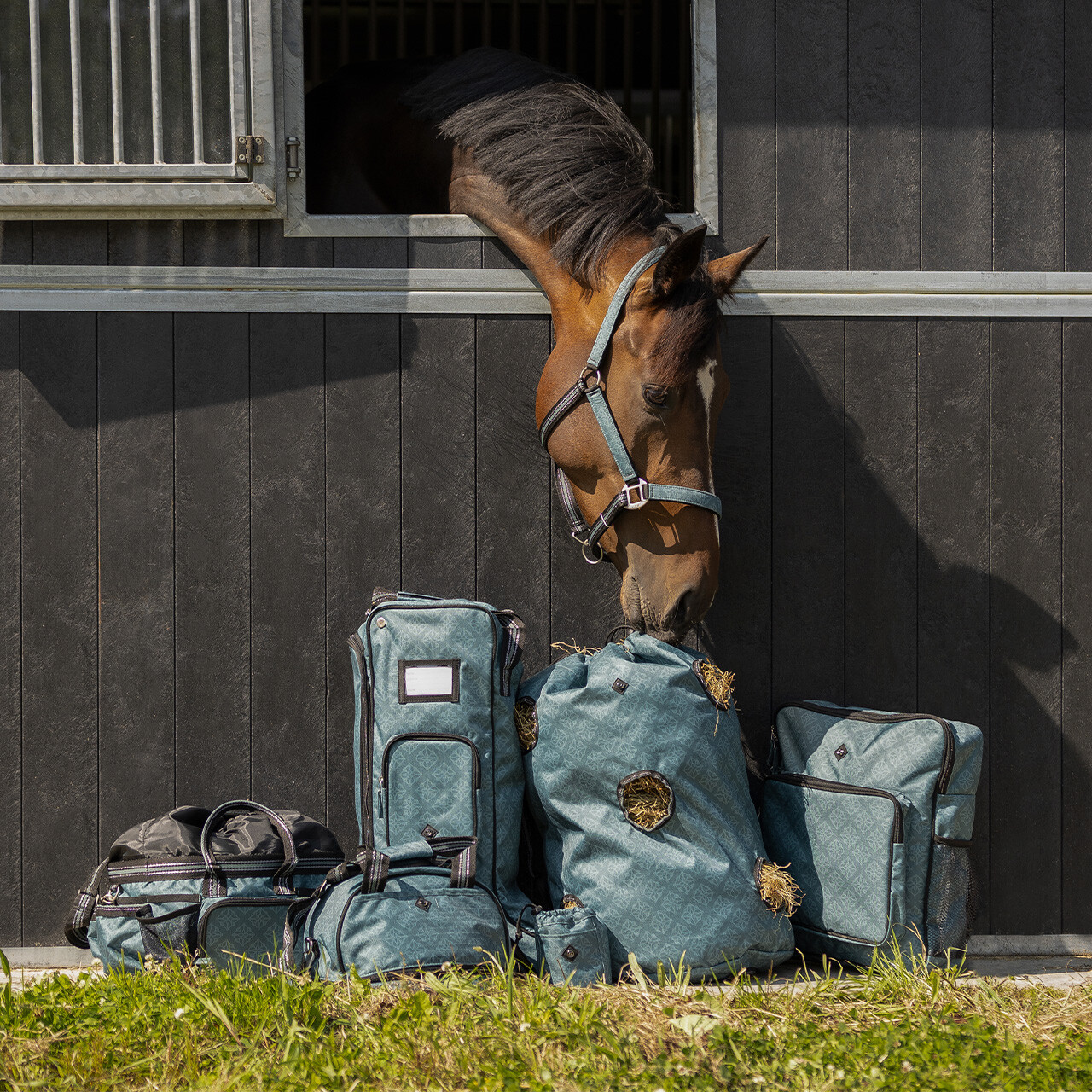 Grooming bag collection