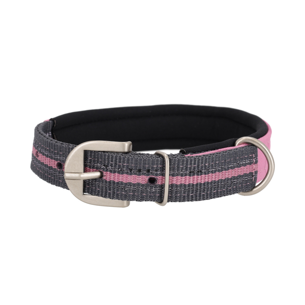 Dog collar collection