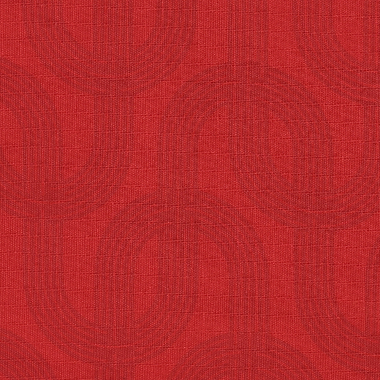 Dog collar collection