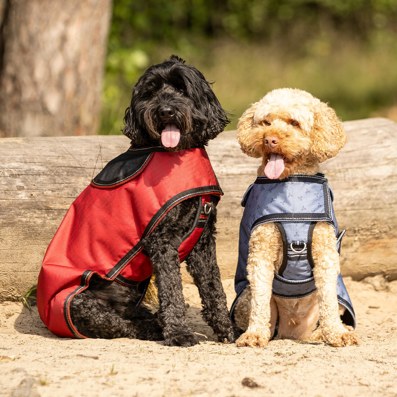 Dog harness collection