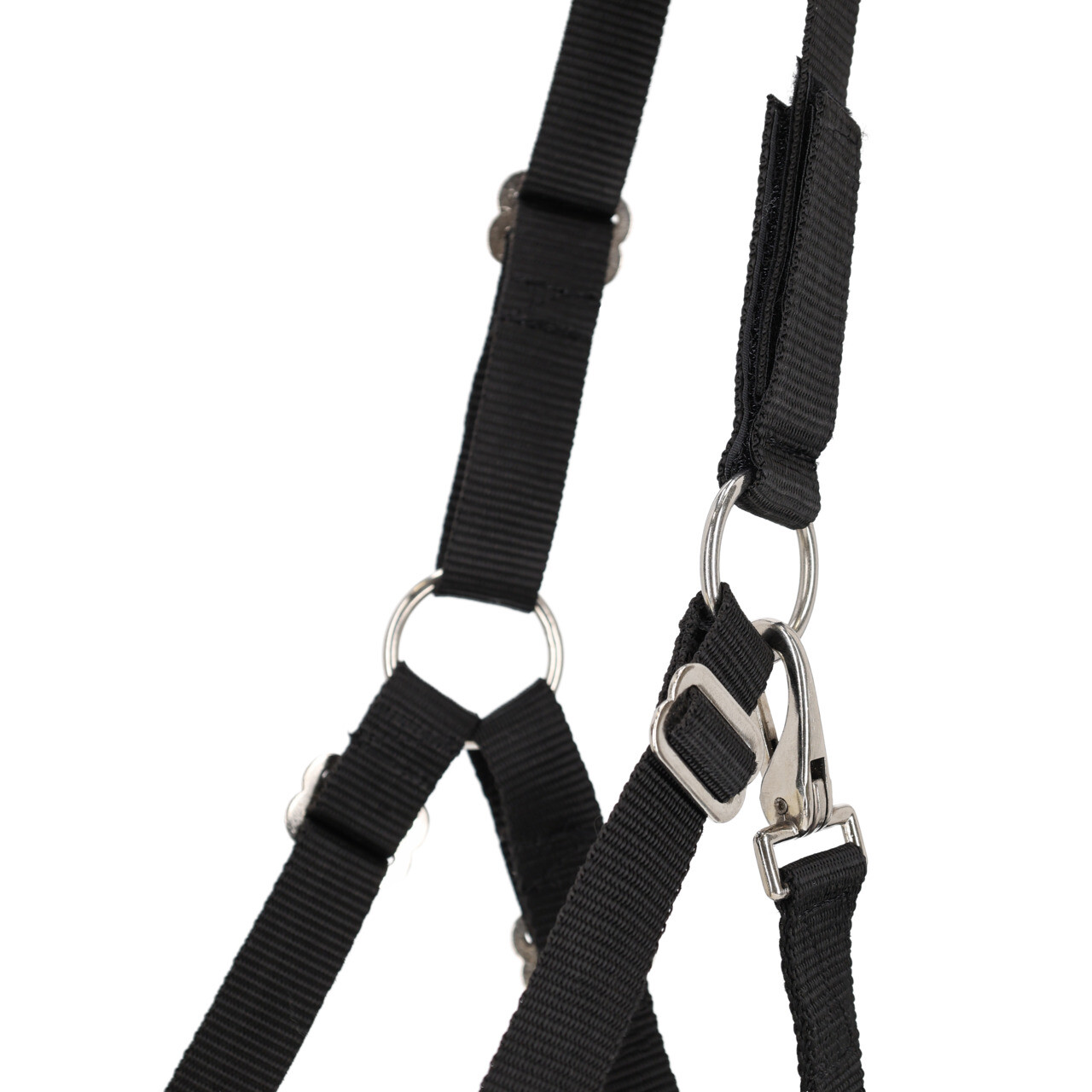 Grazemuzzle fur with nostrils