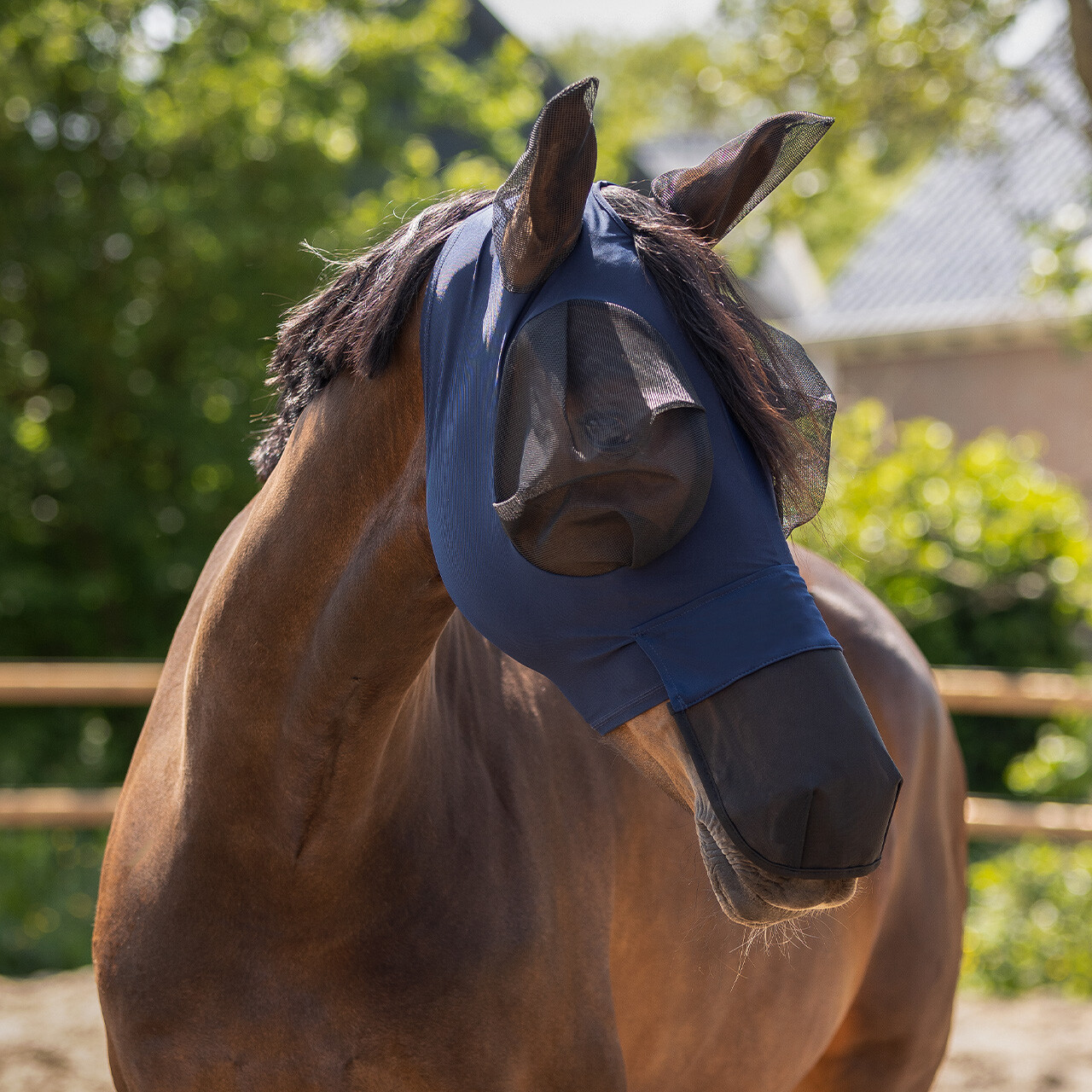 Fly mask Super bug with nose protection