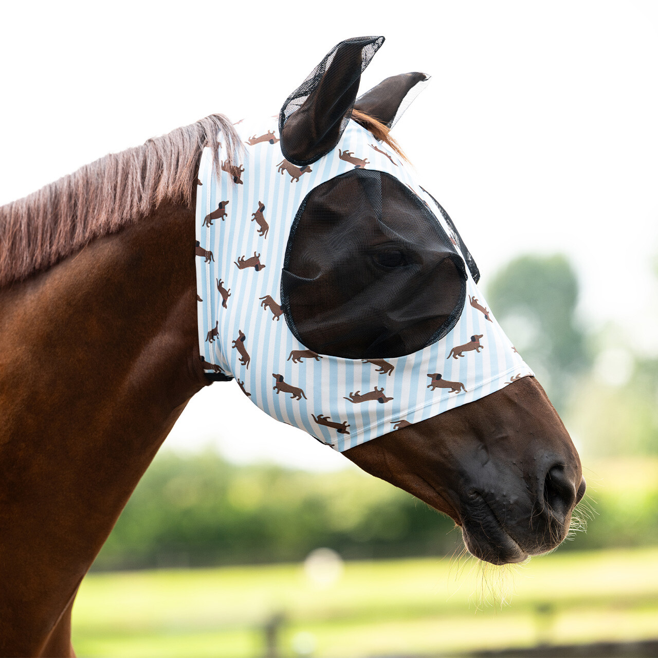 Fly mask Super bug Stable buddy