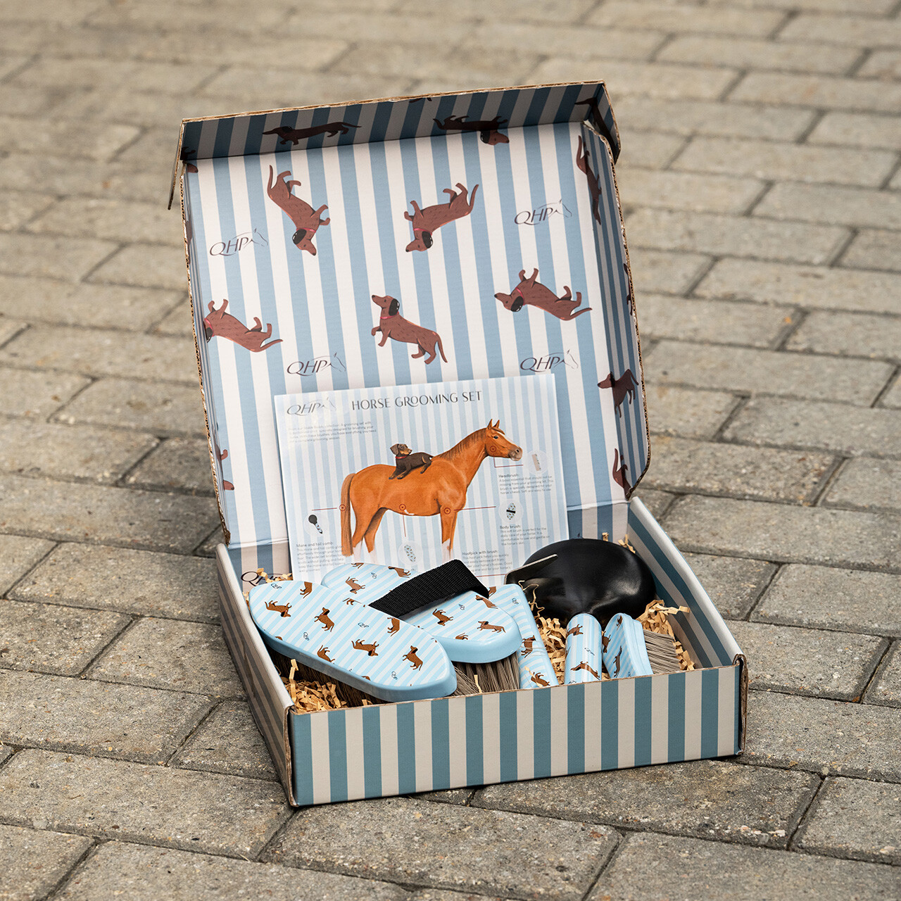 Sada pro úpravu srsti Stable Buddy jezevčík