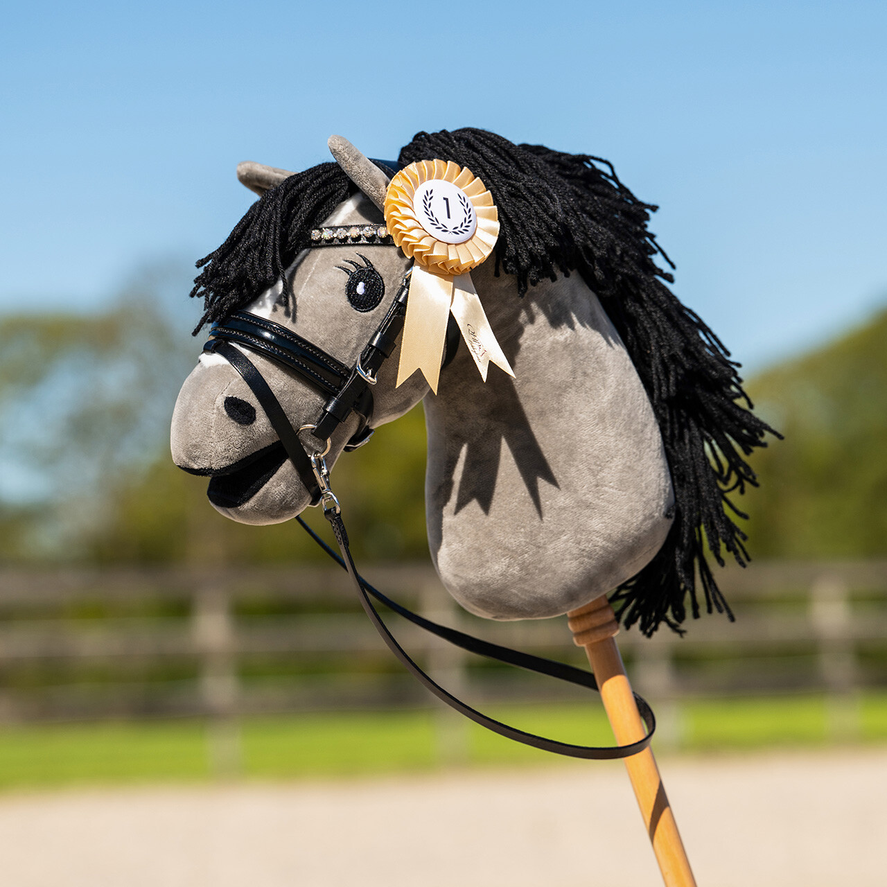 Rosette set Hobby horse