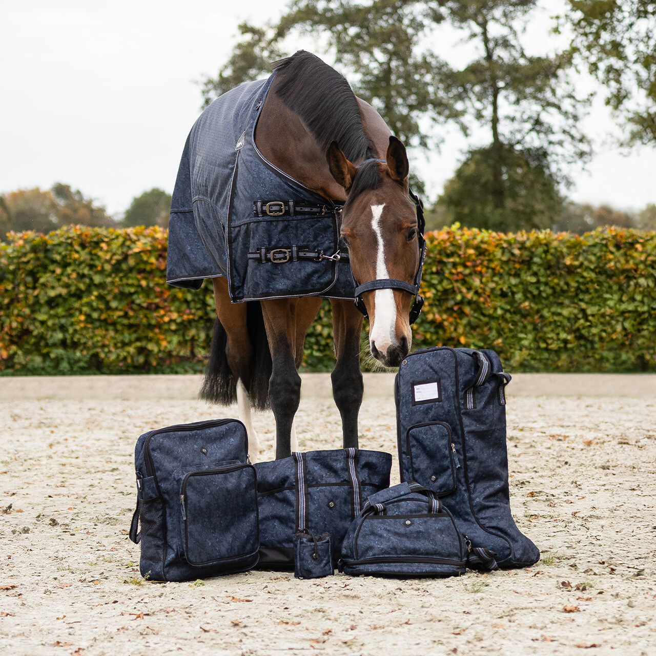 Stable bag collection