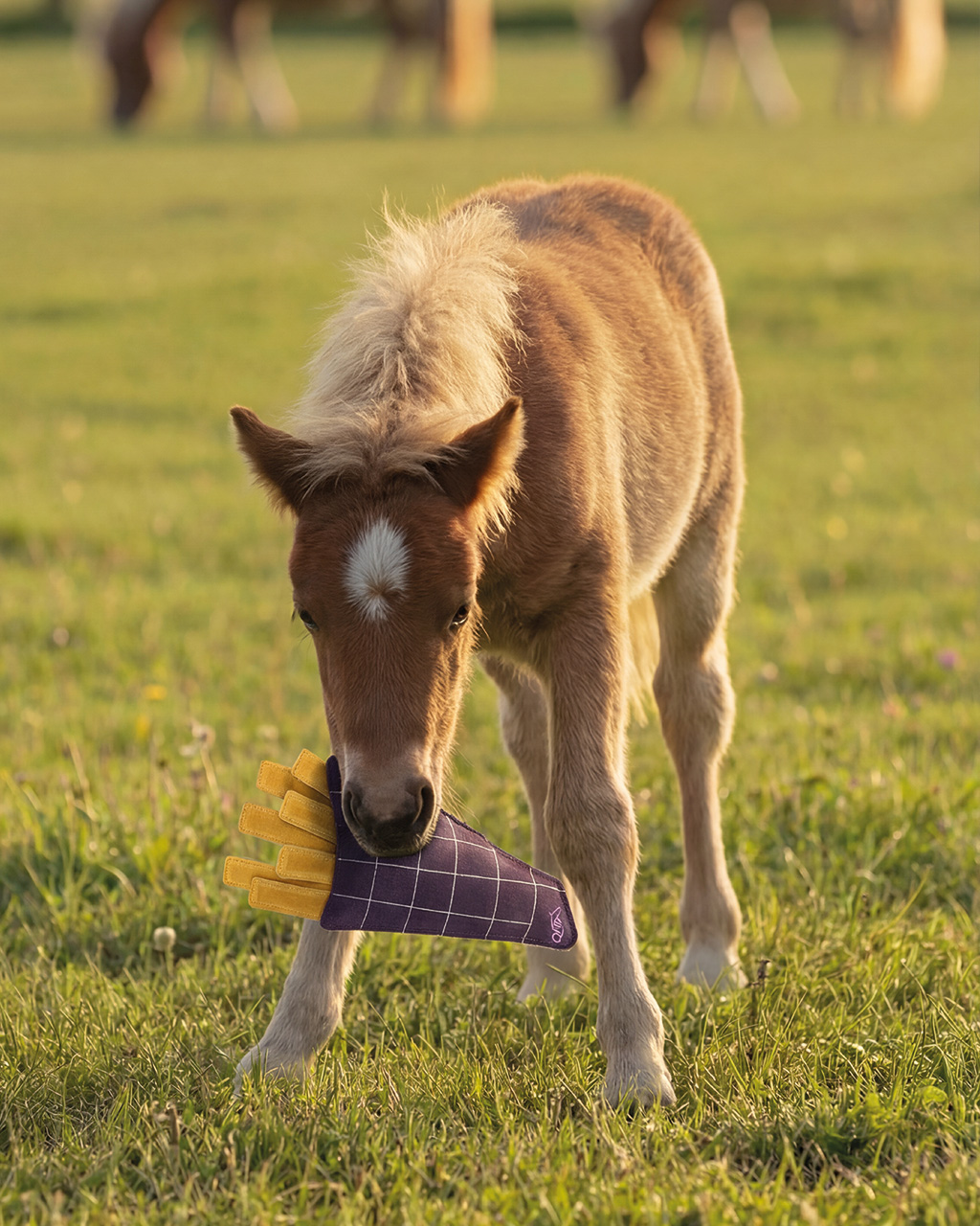 Horse toy Snackcounter