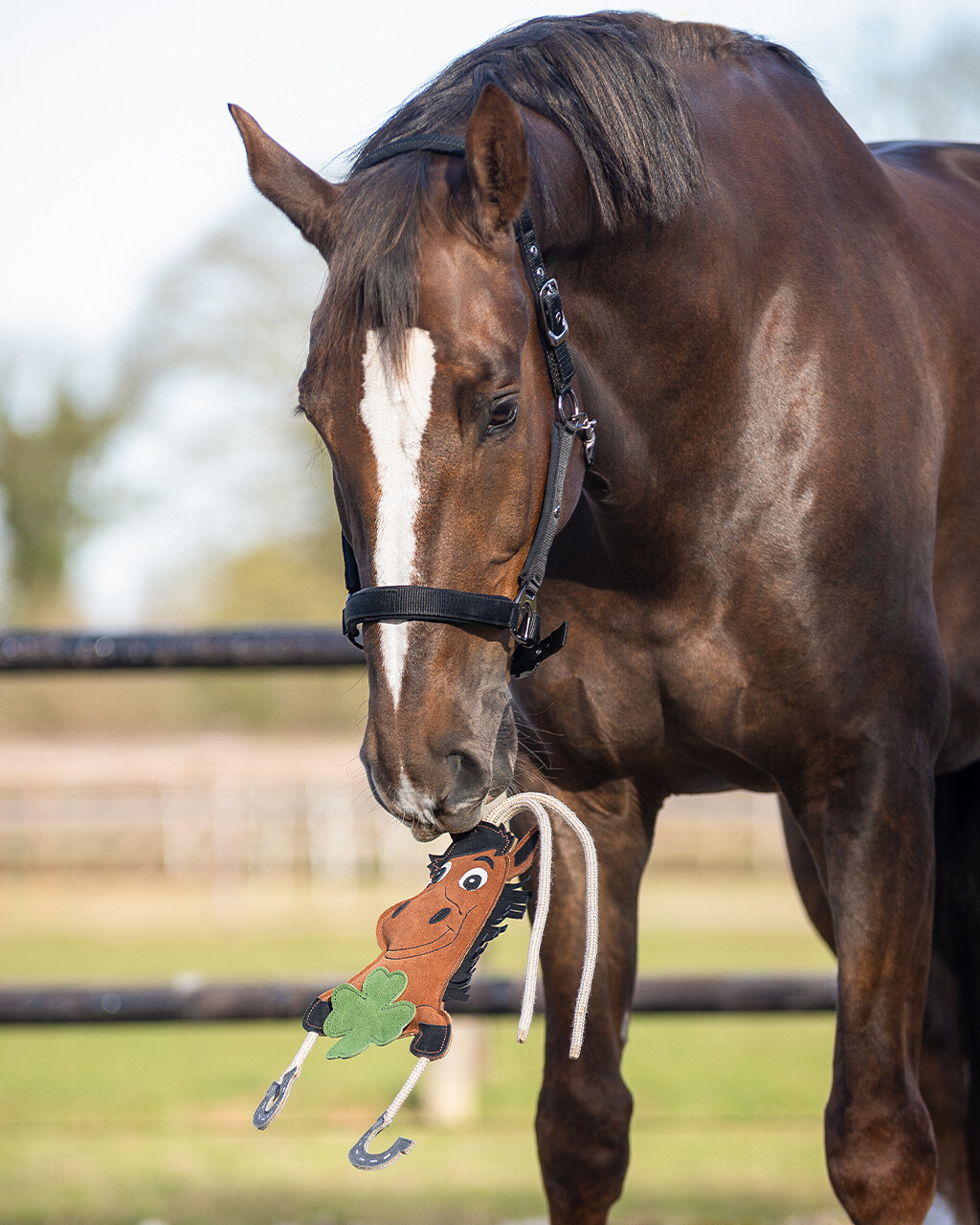 Horse toy Good luck