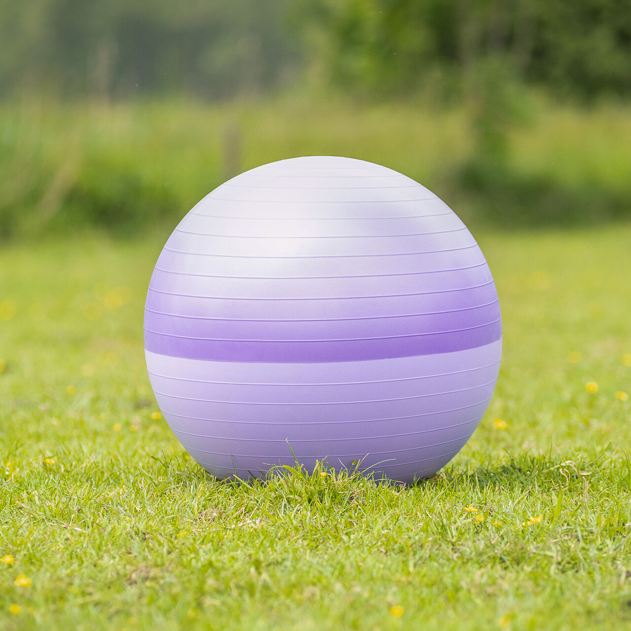 Horse football two-tone