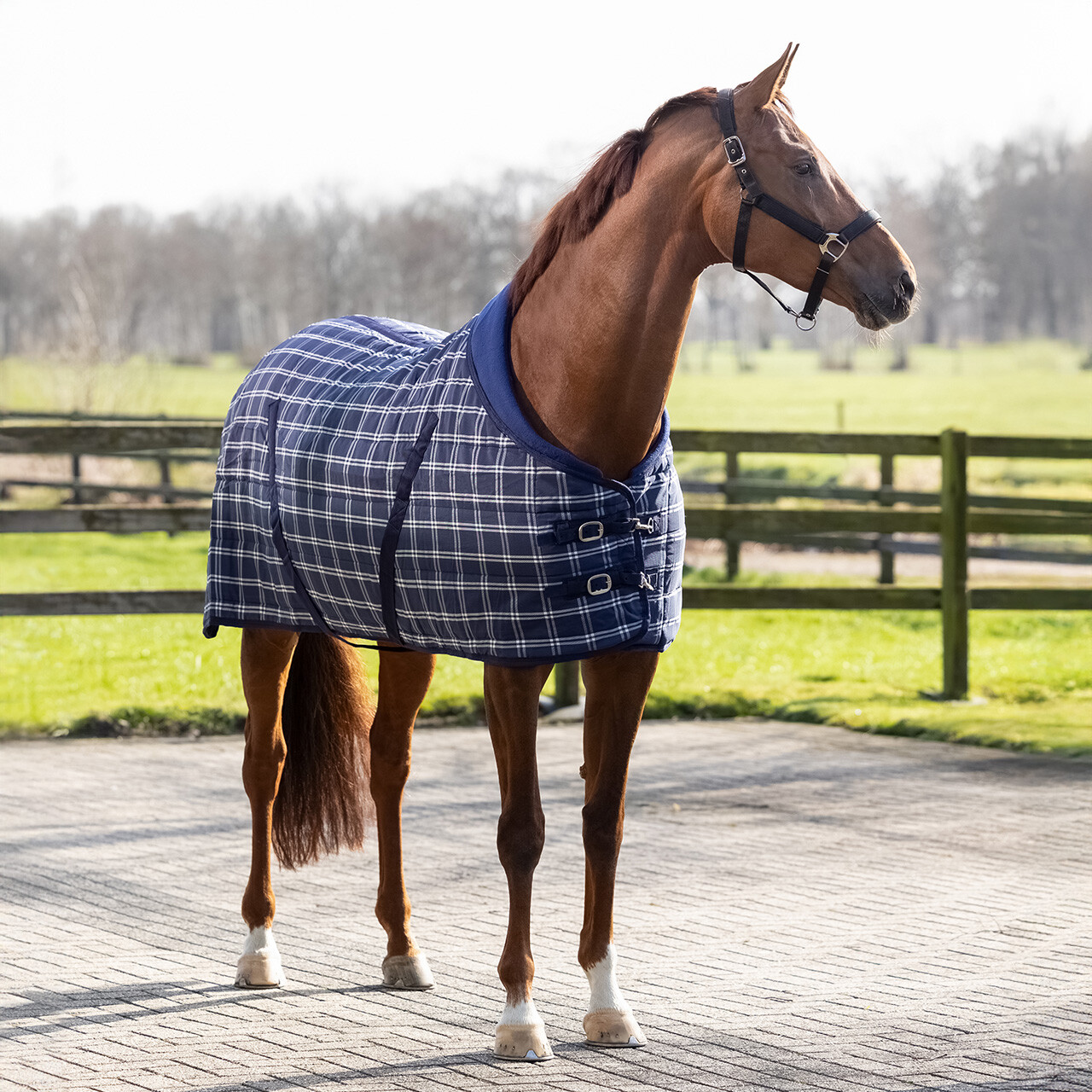 Stable rug luxury 300gr