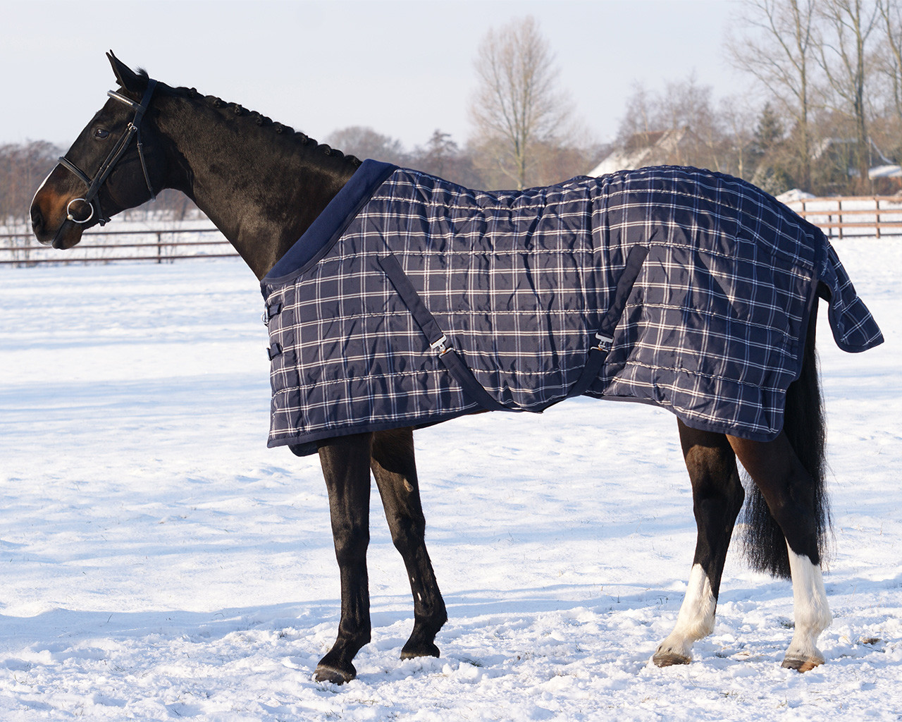 Stable rug luxury 300gr