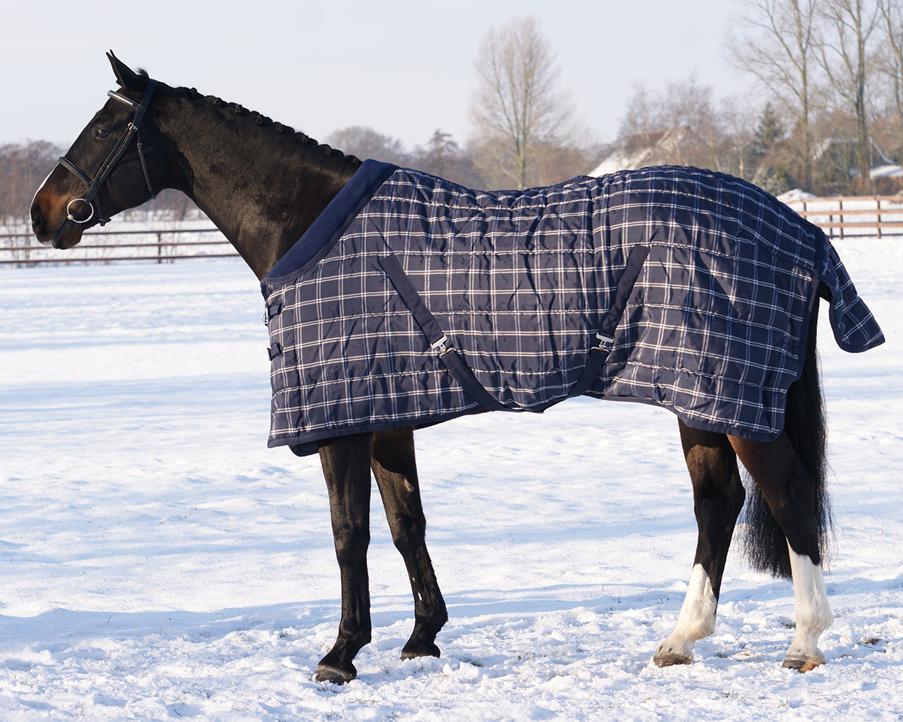 Stable rug luxury 300gr