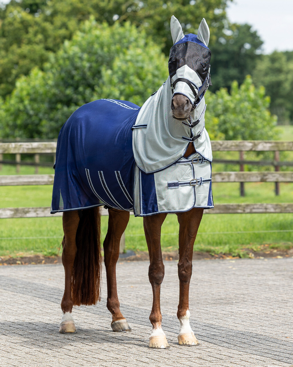 Fly rug with detachable neck and mask