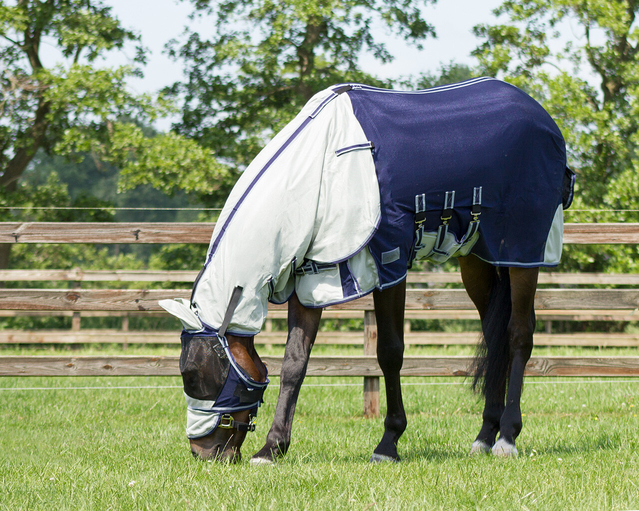 Fly rug with neck and hood