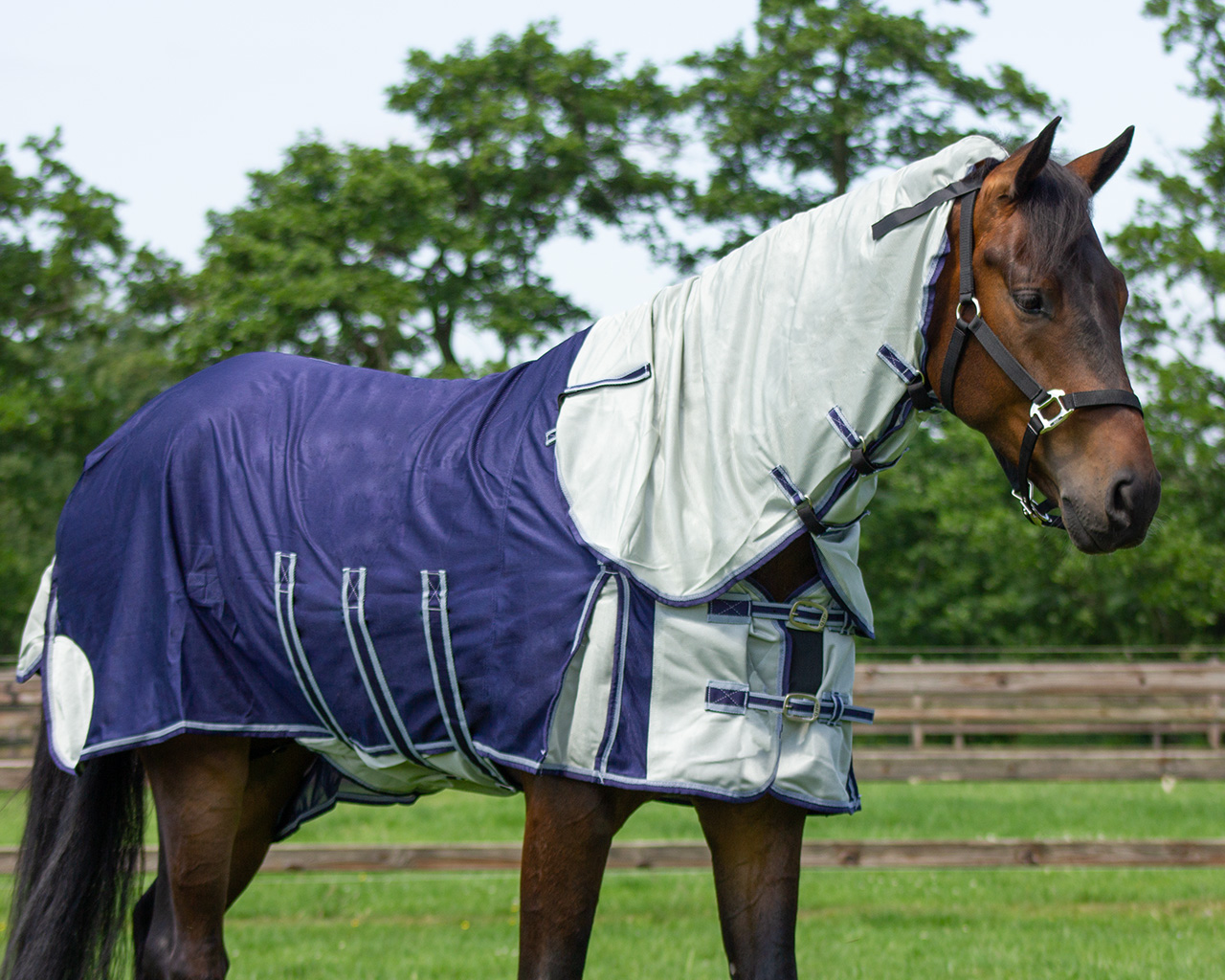 Fly rug with neck and hood