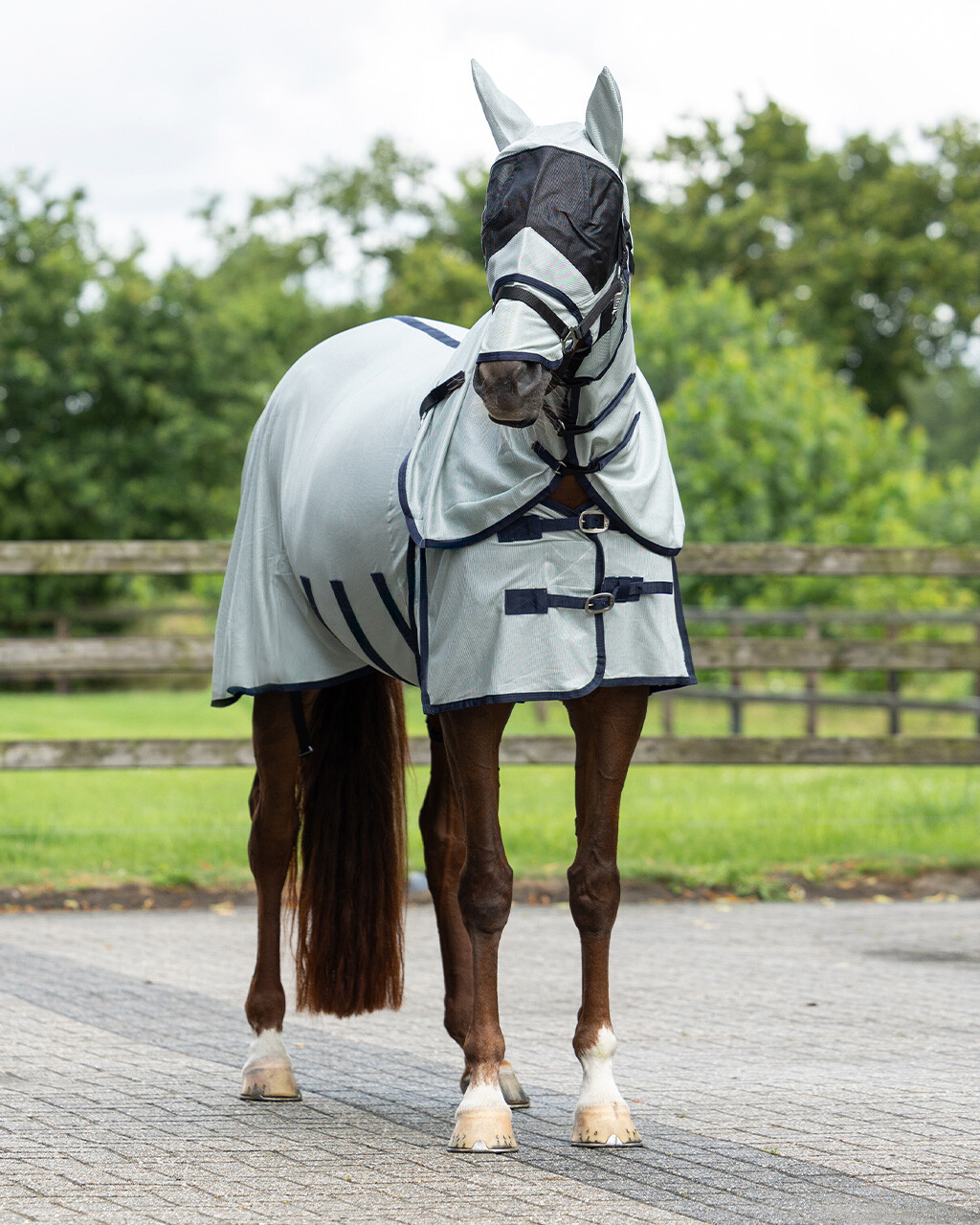 Fly rug with neck and hood