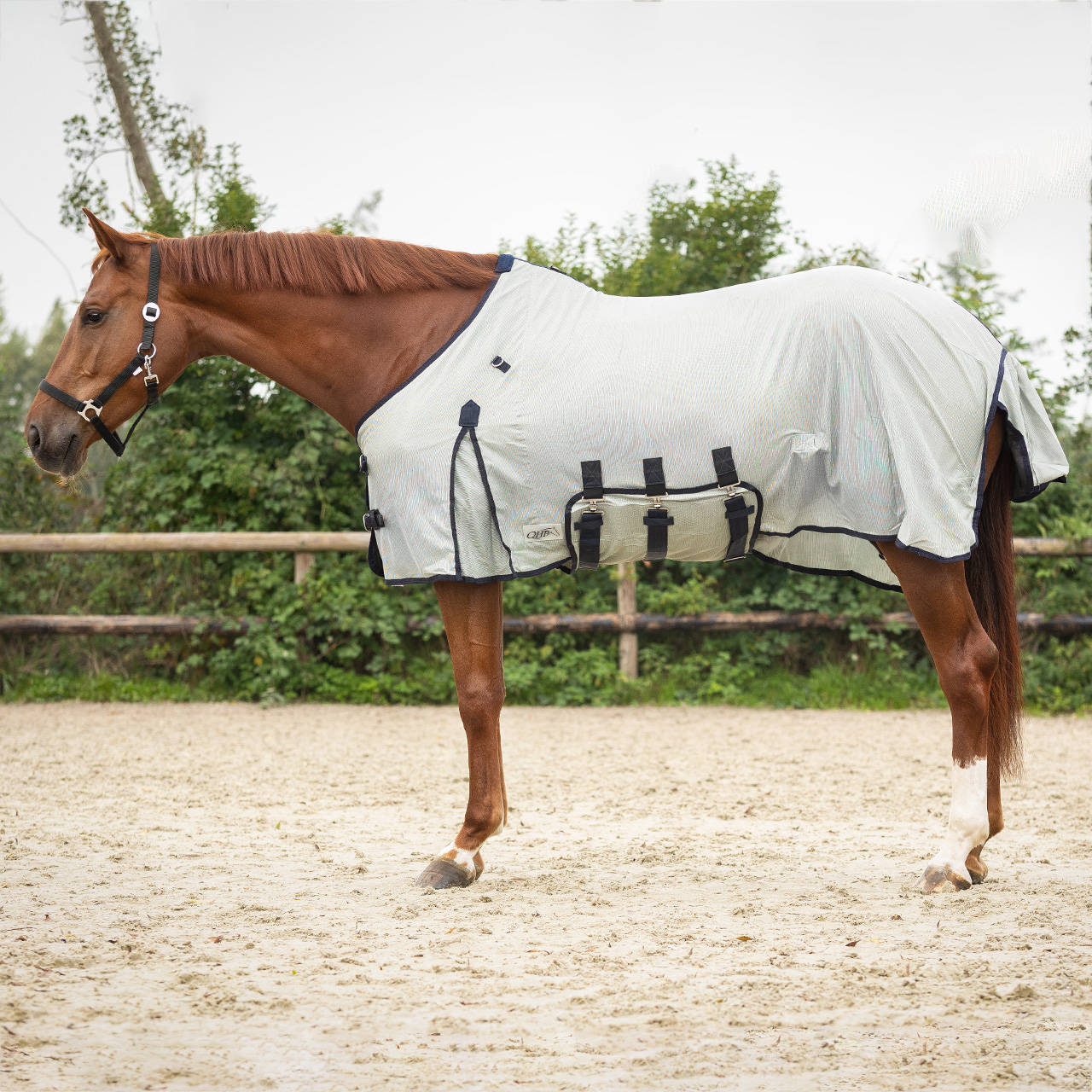 Fly rug with neck and hood