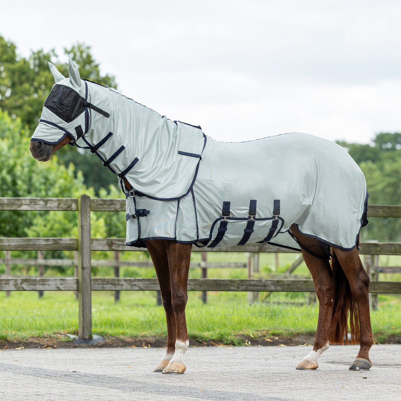 Fly rug with detachable neck and mask