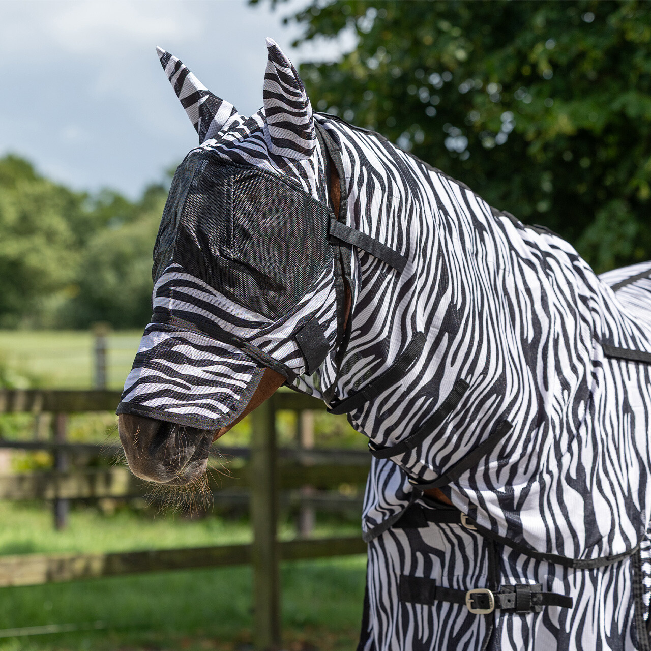 Fly rug with detachable neck and mask