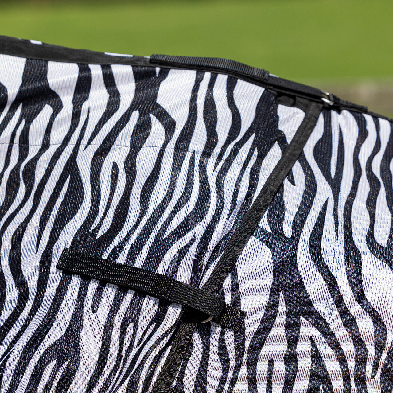 Fly rug with neck and hood