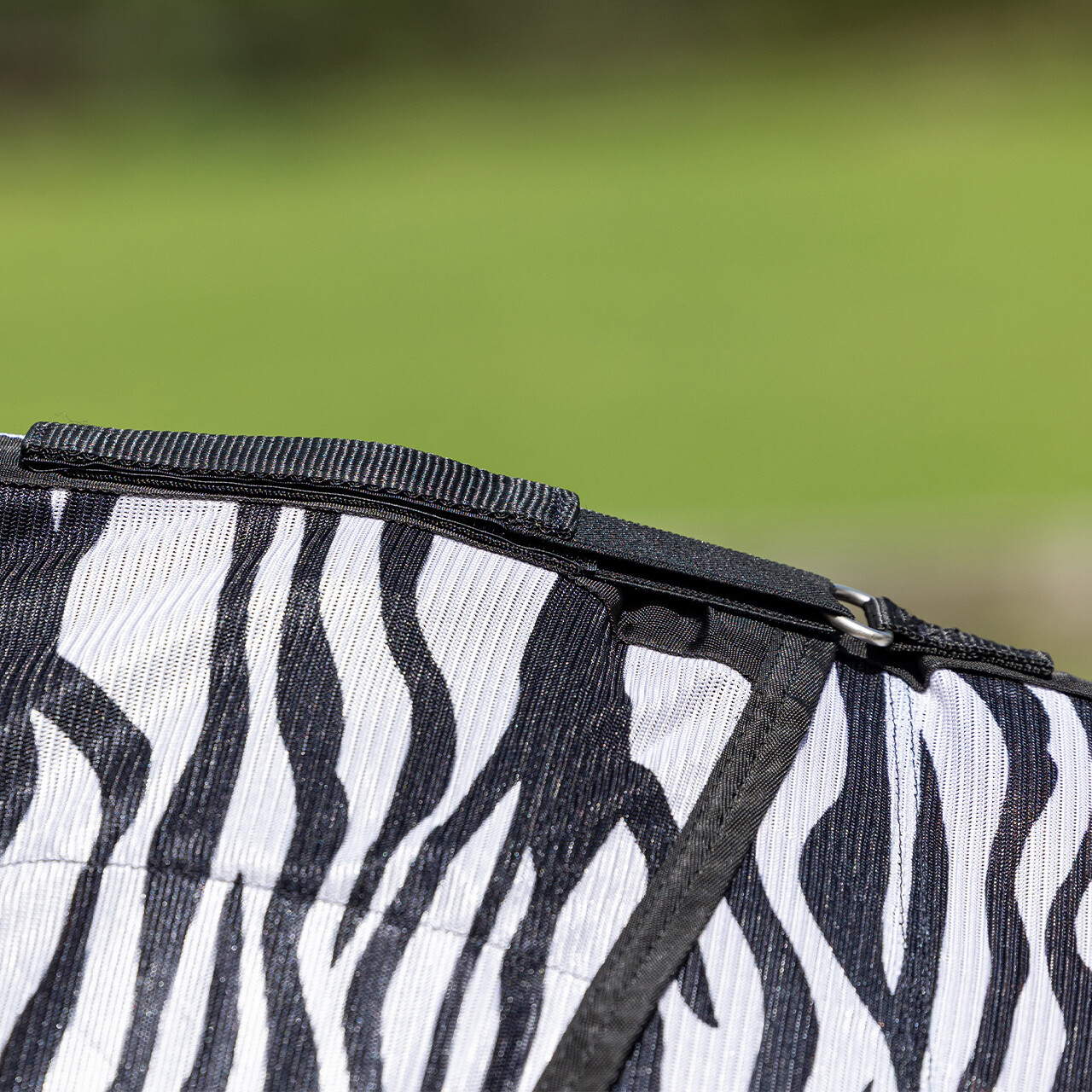 Fly rug with neck and hood