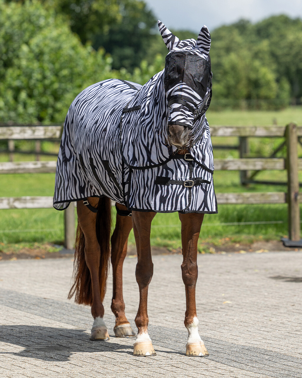 Fly rug with detachable neck and mask