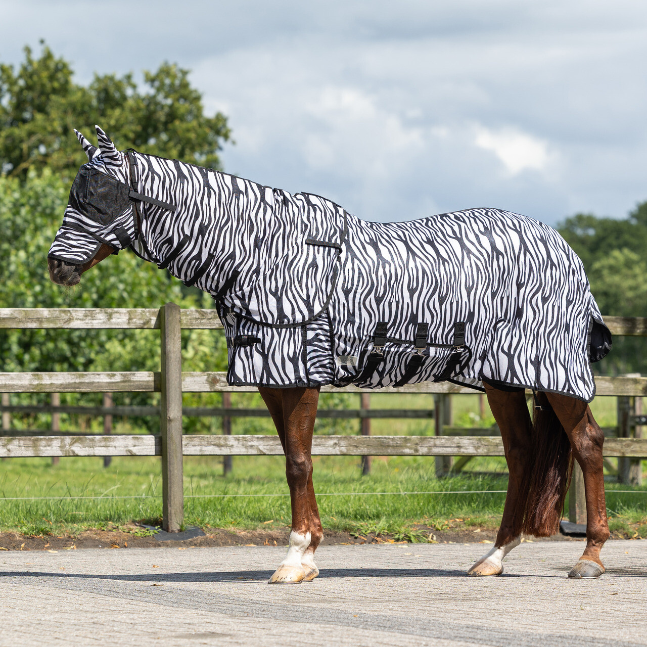 Fly rug with detachable neck and mask