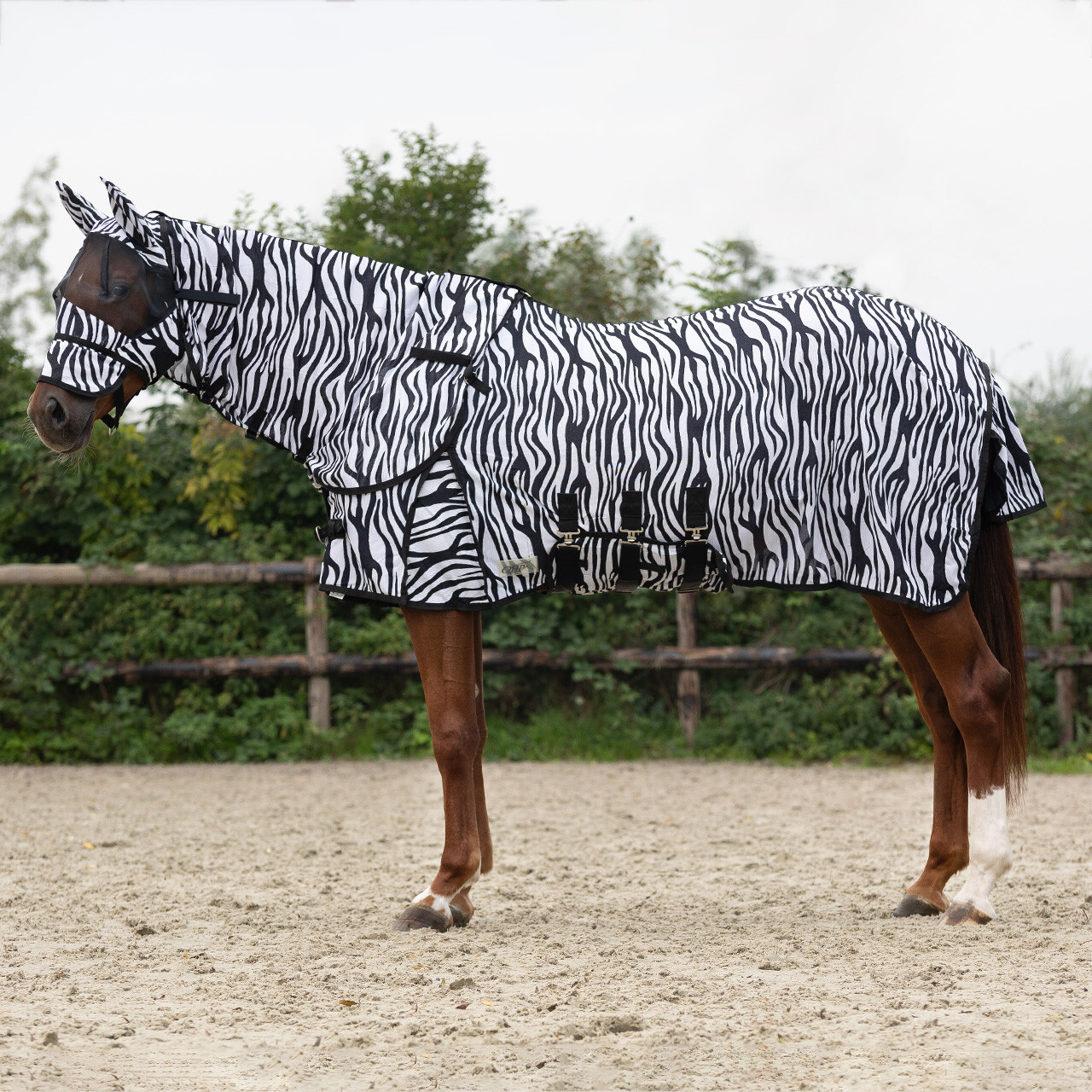 Deka proti hmyzu s krkem a maskou QHP - zebra