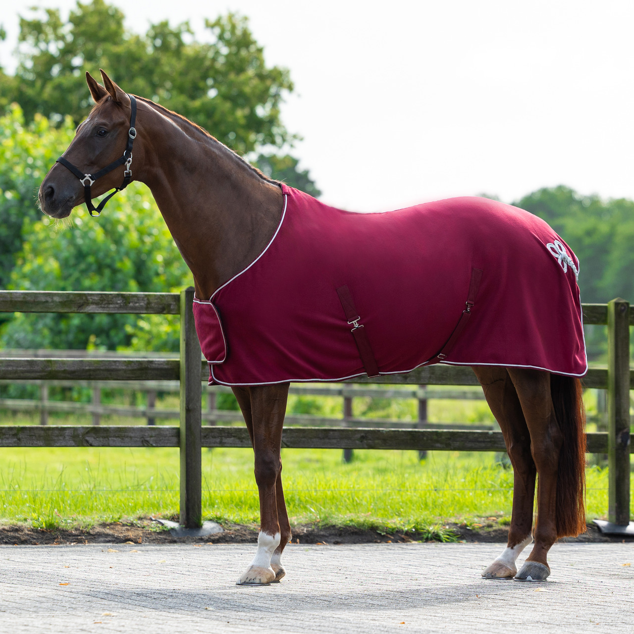 Fleece rug with ornament