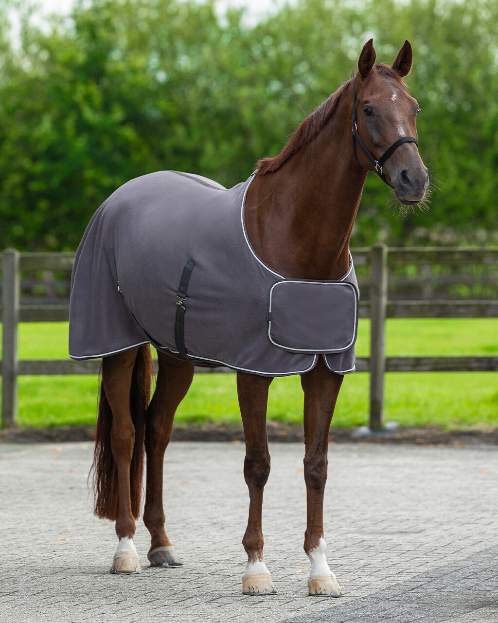 Fleece rug with ornament