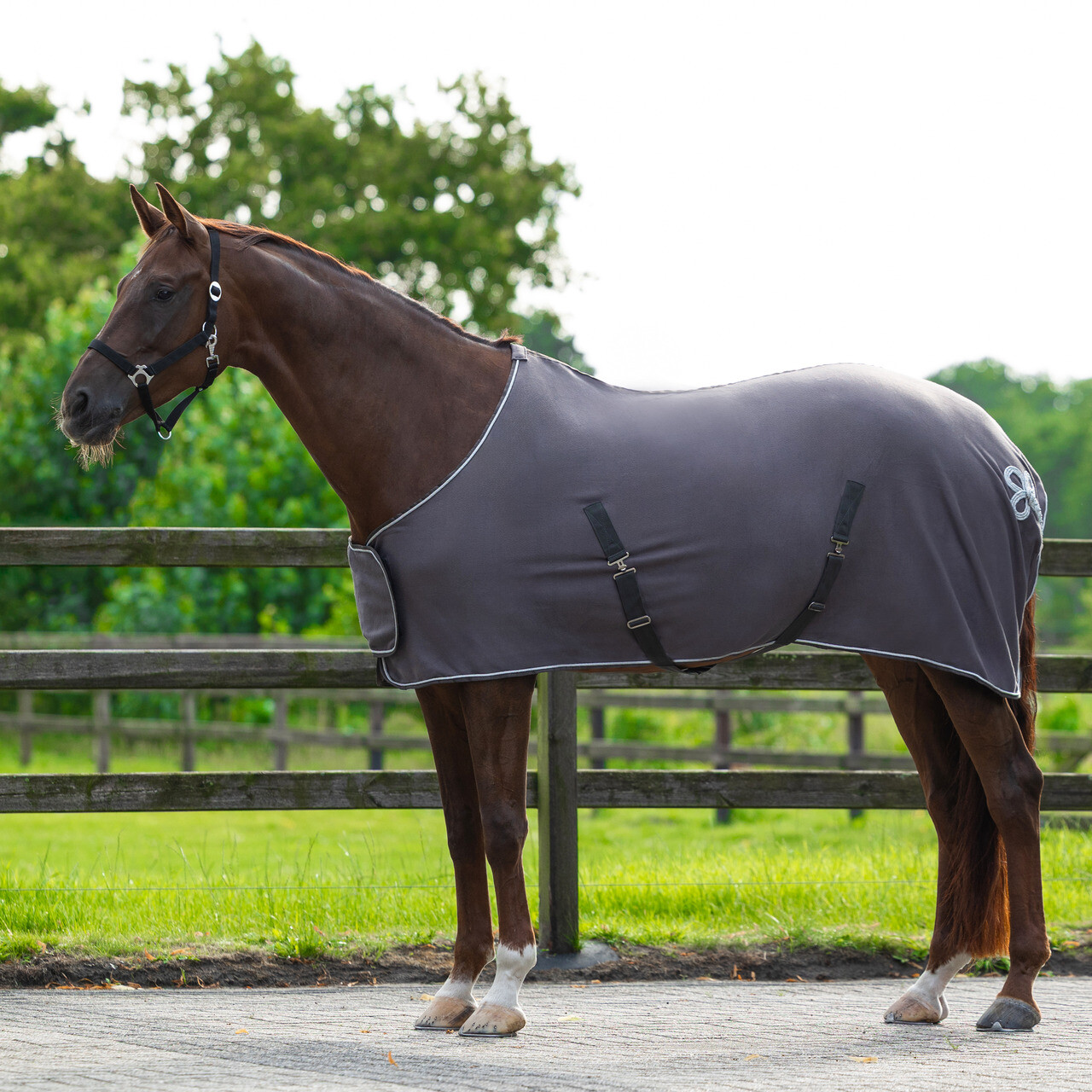 Fleece rug with ornament