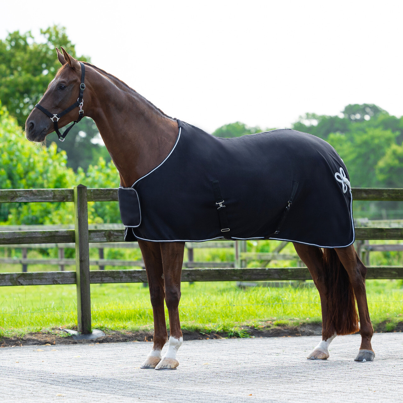 Fleece rug with ornament