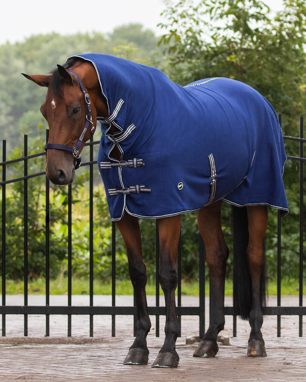 Fleece rug basic with neck QHP Everything for horse and rider