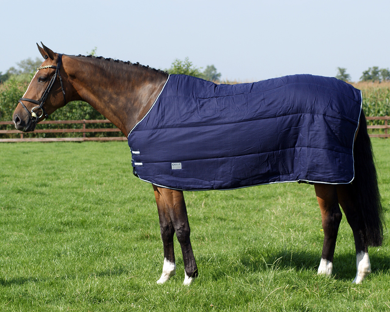 Under rug 200gr QHP Everything for horse and rider